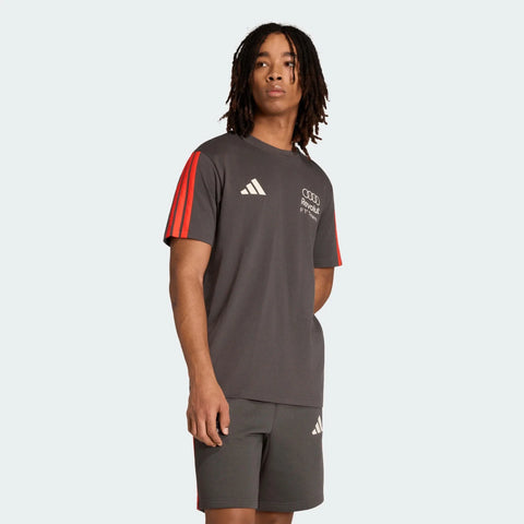 Audi Formula One Men's Team DNA T-Shirt - Gray